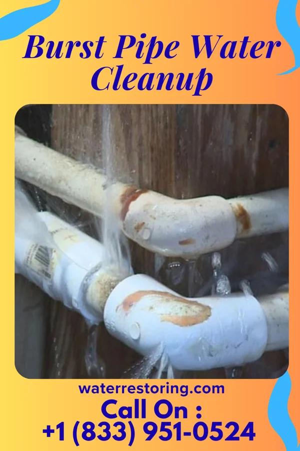 Burst Pipe Water Cleanup in Diggins, MO