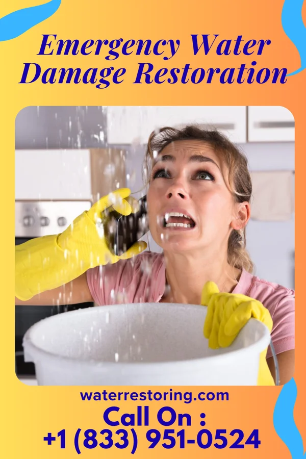 Emergency Water Damage Restoration in Diggins, MO