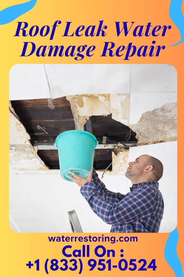 Roof Leak Water Damage Repair in Diggins, MO