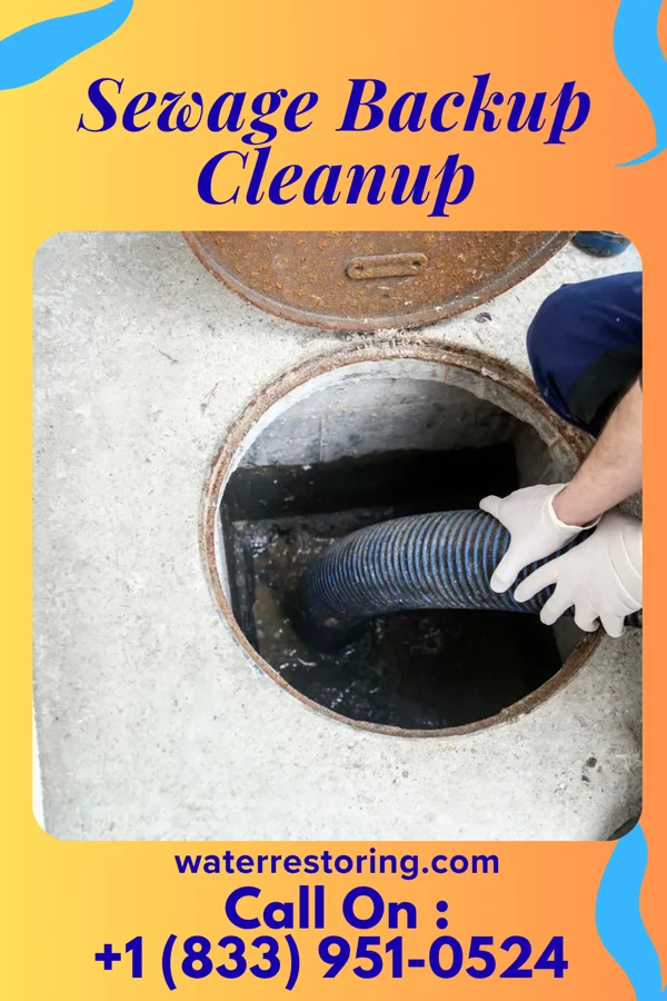 Sewage Backup Cleanup in Diggins, MO